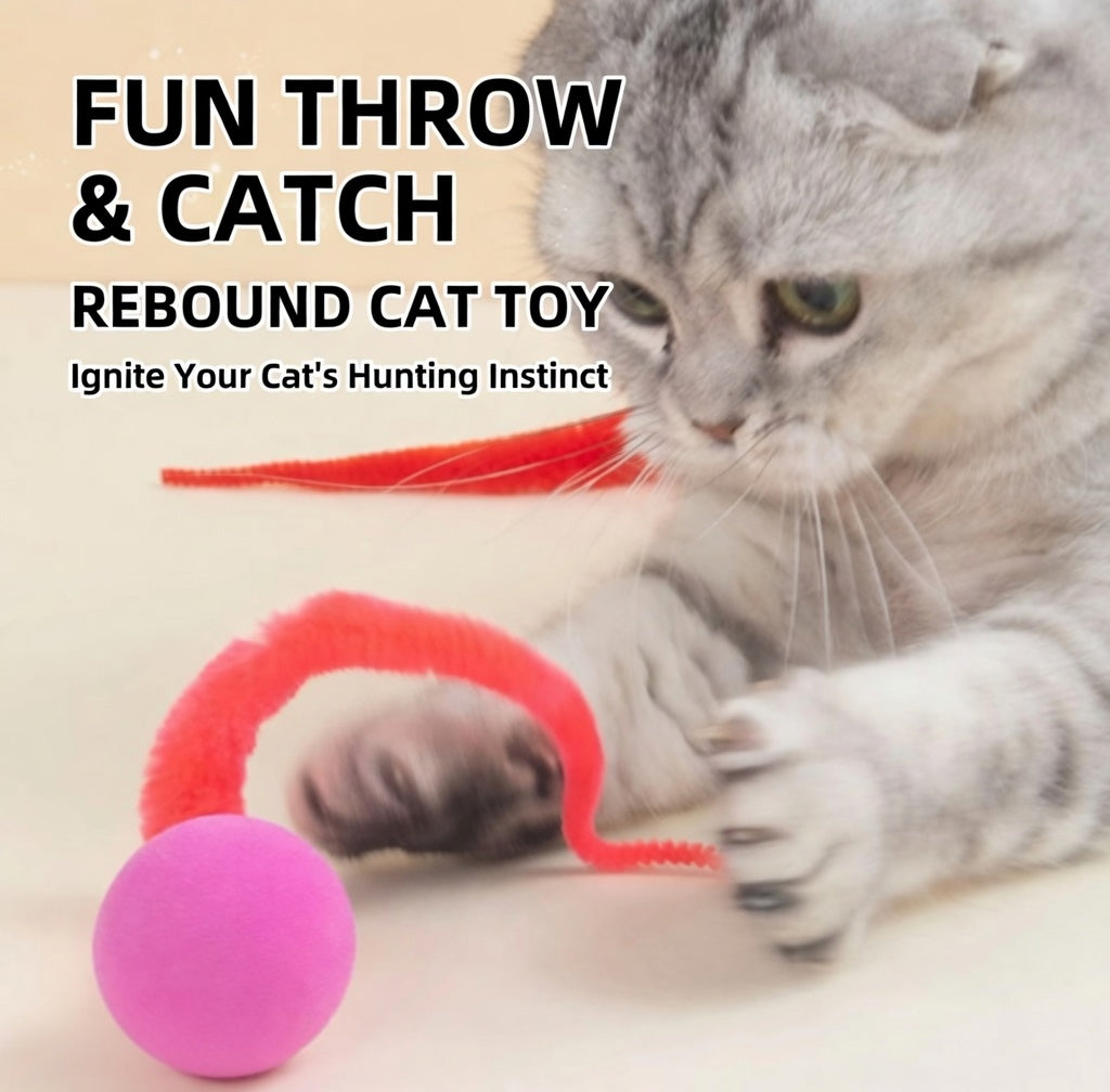 Creawel® 🐱 Flauschige, wackelige Hüpfbälle – Das ultimative interaktive Katzenspielzeug 🕊️